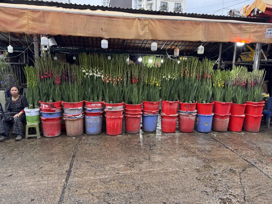 Quảng Bá-blomstermarkedet, Hanoi