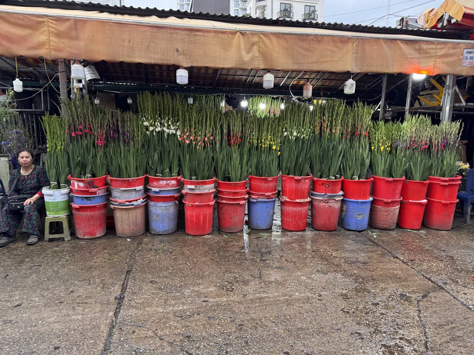 Quảng Bá Flower Market, Hanoi
